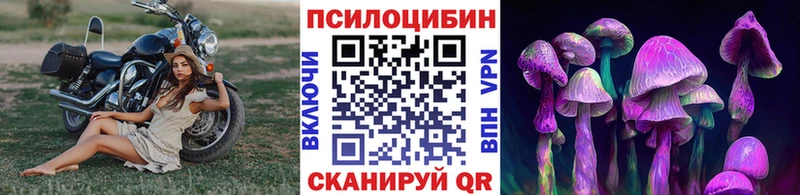 Псилоцибиновые грибы MAGIC MUSHROOMS  продажа наркотиков  Междуреченск 